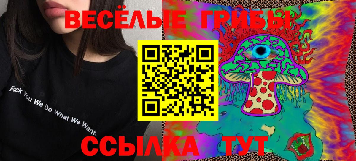 Галлюциногенные грибы мицелий  купить наркотик  Старая Купавна  Вход с VPN 